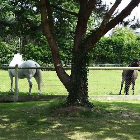 Hibiscus 1er étage Apartamento *