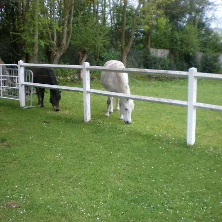 Hibiscus 1er étage Apartamento *