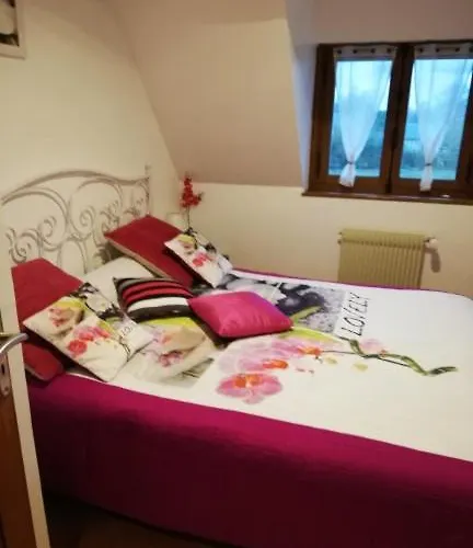 Hibiscus 1er étage *