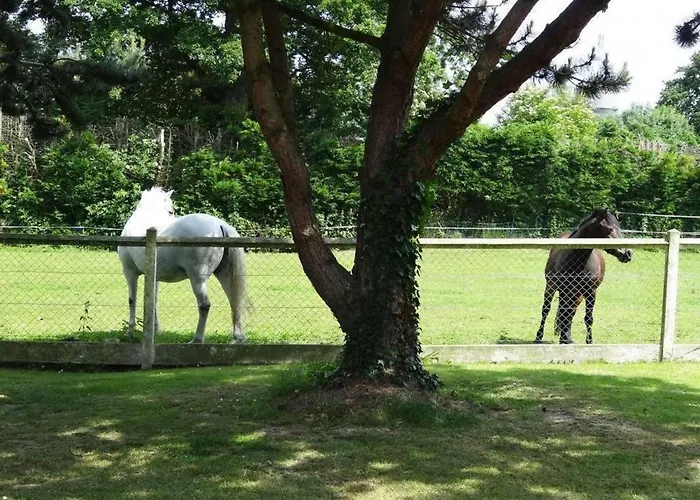 Hibiscus 1er étage Apartamento *