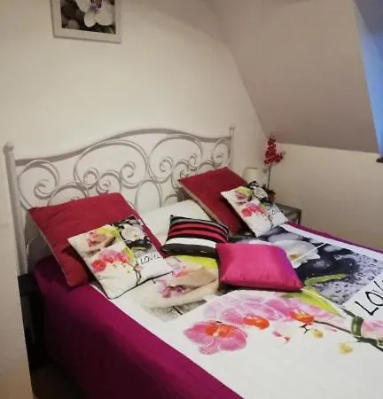 Hibiscus 1er Etage Daire *