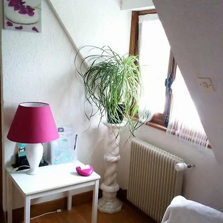 Hibiscus 1er Etage Daire