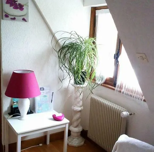 Hibiscus 1er Etage Apartmán