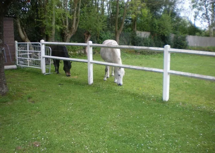 Hibiscus 1er Etage Apartment *